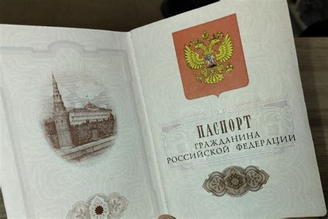 Организация процесса выдачи паспортов Министерством иностранных дел России