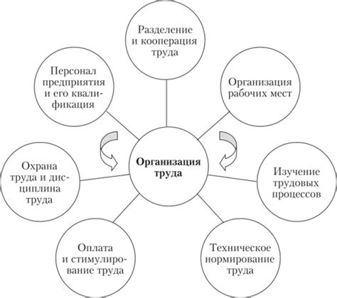 Организация труда вспомогательного оператора машиниста: основные принципы