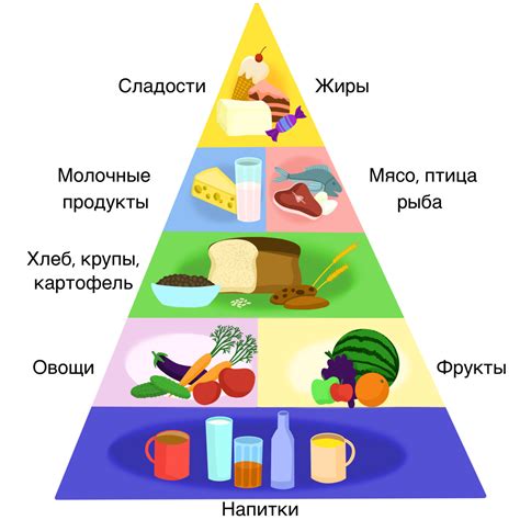 Органические пищевые продукты: идеальное сочетание углеводов и белков для здорового рациона