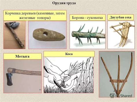 Орудия работы из древности: создание и функциональное назначение