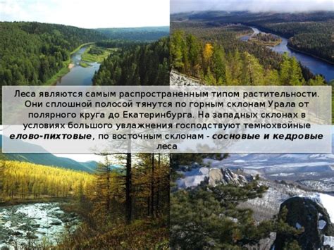 Оседлость на западных склонах Урала