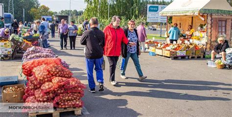 Осенние праздники и ярмарки в окрестностях Москвы