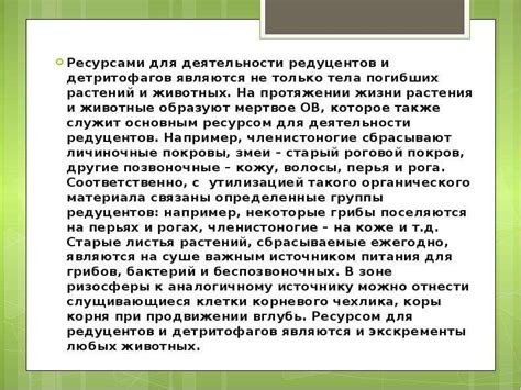 Оснащение жилищ ремесленщиков и их практическое использование
