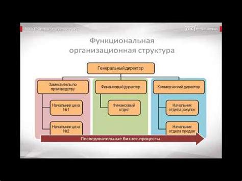 Основа деятельности института: принципы успешной функциональности