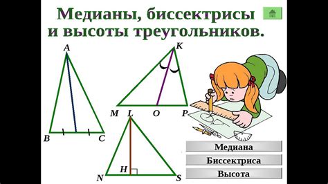 Основная концепция определения высоты треугольника