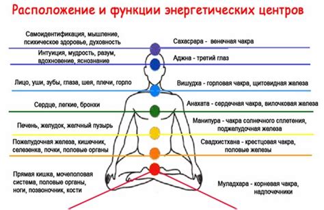 Основные аспекты количества энергетических центров у человека