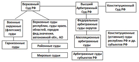 Основные группы судебных органов в общей сфере правосудия