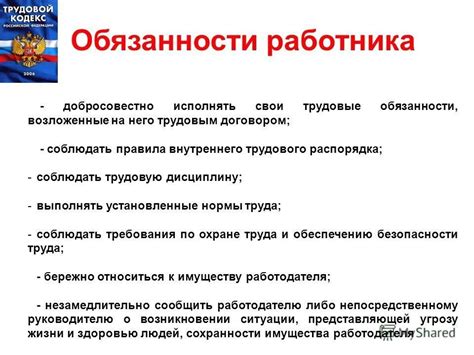 Основные задачи и обязанности опекуна: ежедневные трудовые задачи