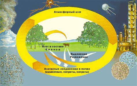 Основные источники азота в интерактивной игре Без Человека Небеса