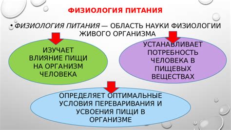 Основные источники и дневная потребность организма в питательных веществах 