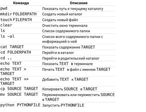 Основные команды для работы в терминале