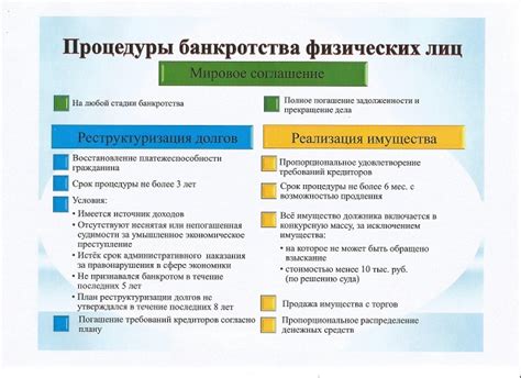 Основные концепции и принципы процедуры наступления финансовой несостоятельности физического лица