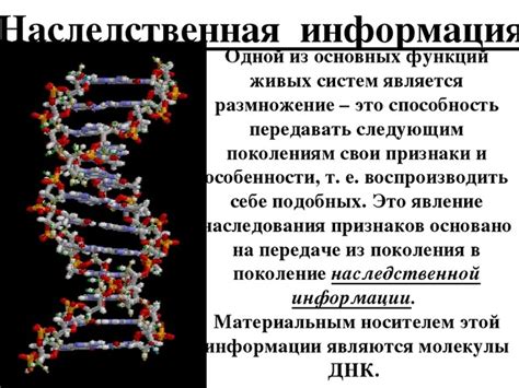 Основные курсы, необходимые для успешного обучения специалистов в генетической области