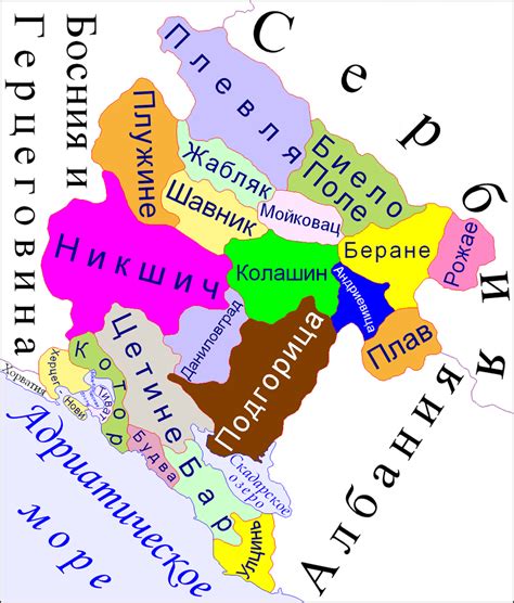 Основные особенности языка независимого государства Черногории