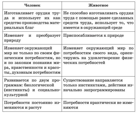 Основные отличия от гиревого спорта