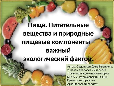 Основные питательные компоненты зеленого винограда для питания морских плоскоголовых грызунов