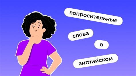 Основные понятия вопросительных выражений и их значения