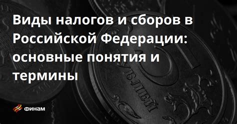 Основные понятия в области налогов ИП: вводное знакомство