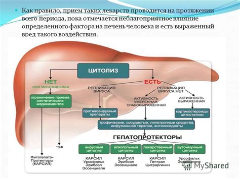 Основные принципы действия гепатопротекторов