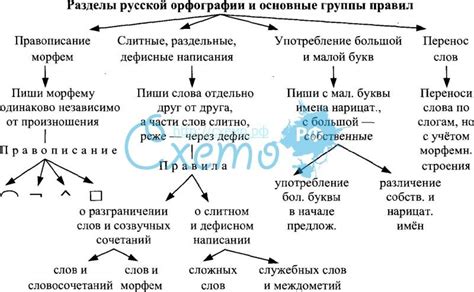 Основные принципы использования раздельного написания в русском языке