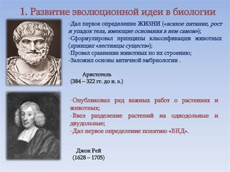 Основные принципы и подходы Ропполя к философской проблеме техники