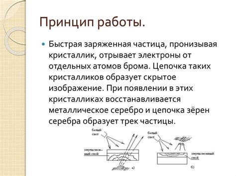 Основные принципы метода обувки коня