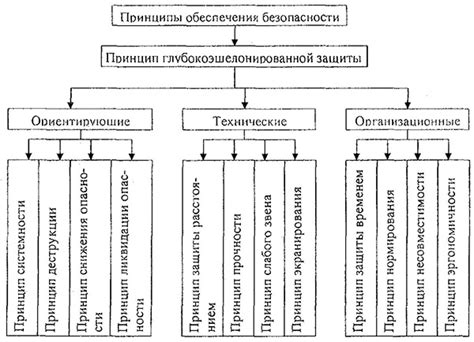 Основные принципы обеспечения успешного укоренения чеснока в замерзшей почве