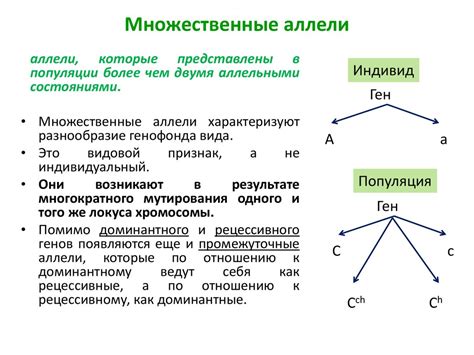 Основные принципы передачи наследственных свойств через множественные аллели