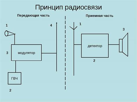 Основные принципы радиосвязи в террариуме