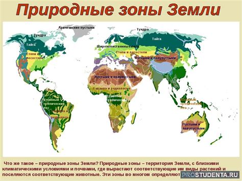 Основные природные и климатические особенности данной территории