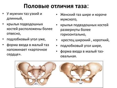 Основные проявления натяжения связочной аппарата нижних конечностей