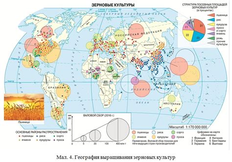 Основные районы производства и сбыта цветочных культур в стране