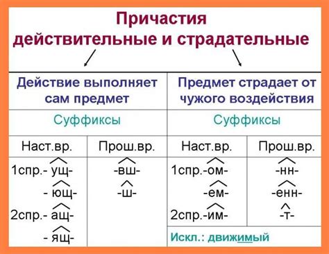 Основные свойства причастий и их разнообразие