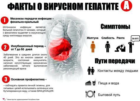 Основные симптомы гепатита C вне репликации