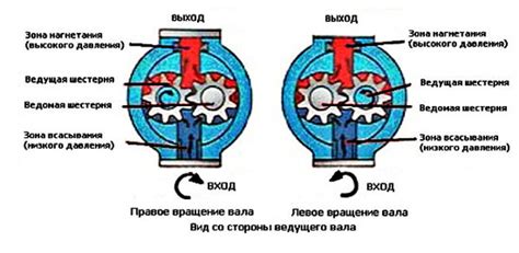 Основные типы и преимущества масляных насосов