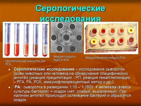 Основные типы серологических тестов