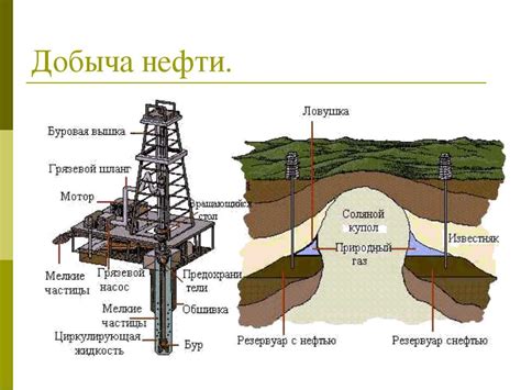 Основные участки добычи нефти в регионе: особенности и важность