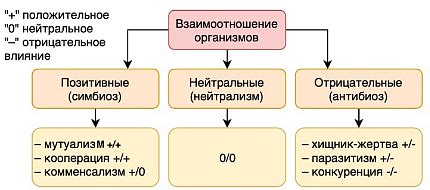 Основные характеристики взаимоотношений