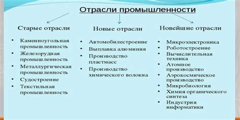 Основные черты отрасли, где занимается Васильева