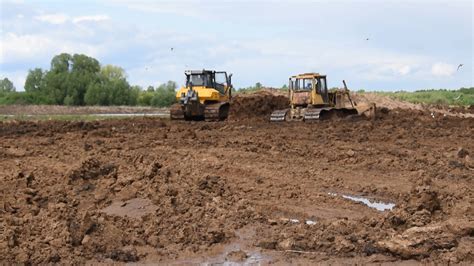 Основные шаги процесса очистки ковра в автомобиле