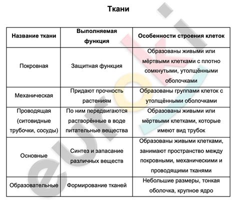 Основные элементы замыкания и их функции