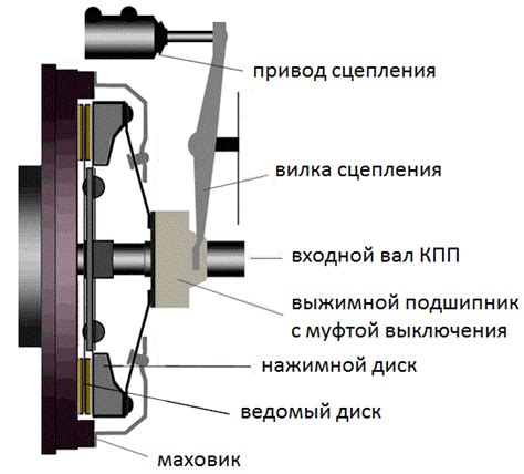 Основные элементы сцепления и их роли