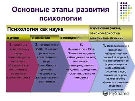 Основные этапы получения социальной карты Подмосковья: ключевые шаги и условия