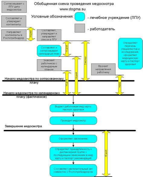 Основные этапы прохождения медосмотра в Тюмени