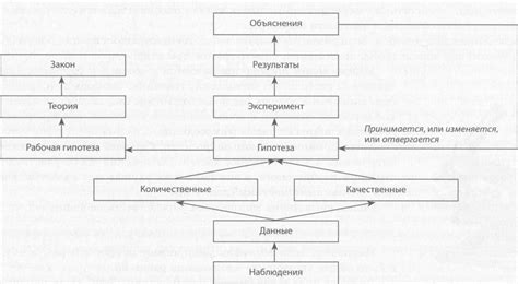 Основополагающие принципы метода моделирования в изучении живой природы