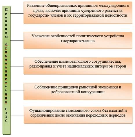 Основополагающие принципы функционирования и разнообразие областей применения