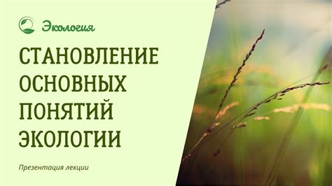 Основы понятий и принципов применения фактора территории