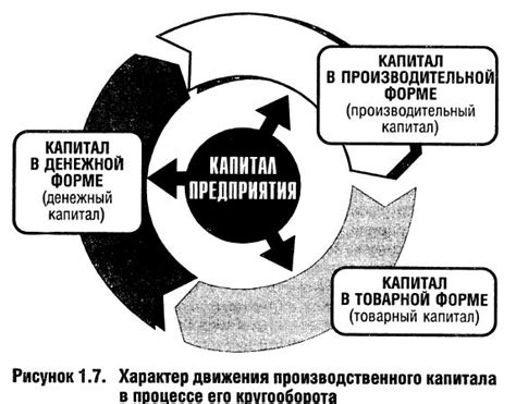 Основы регулирования сокращения основного капитала в Российской Федерации