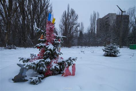 Особенная флора только в зоне Припятской аварии