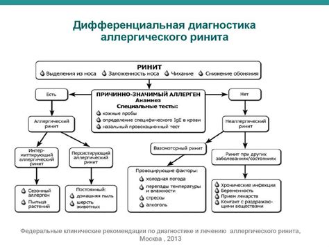 Особенности аллергических реакций на пищу и их воздействие на зрительную функцию